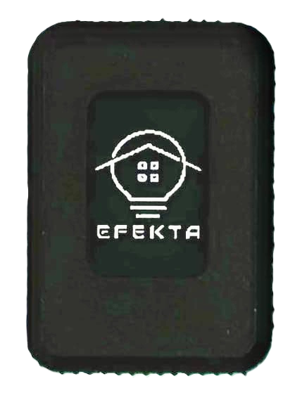 Файл:Eva 514557df image-mce-20260212-155543607.png