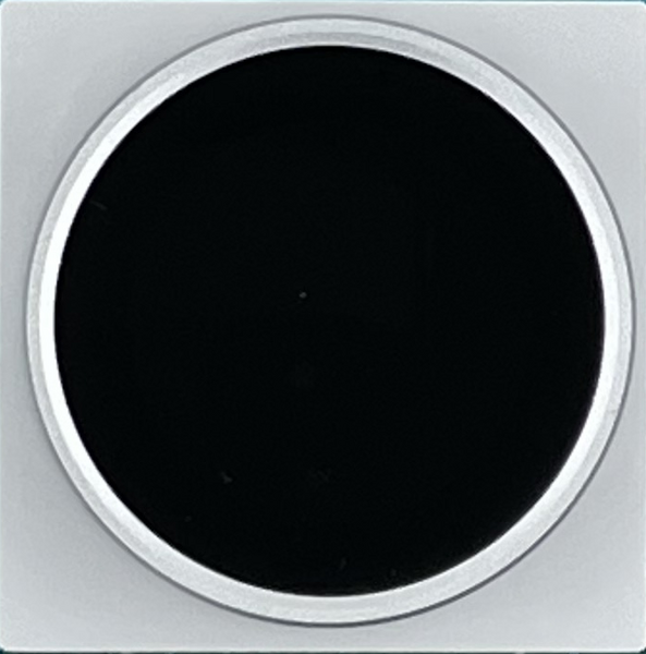 Файл:Eva 478196fe image-mce-20241009-173751.png